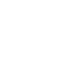 A.M.I. – Agopuntura Medica Integrata